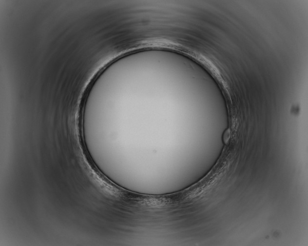 X0000100330947200806191104