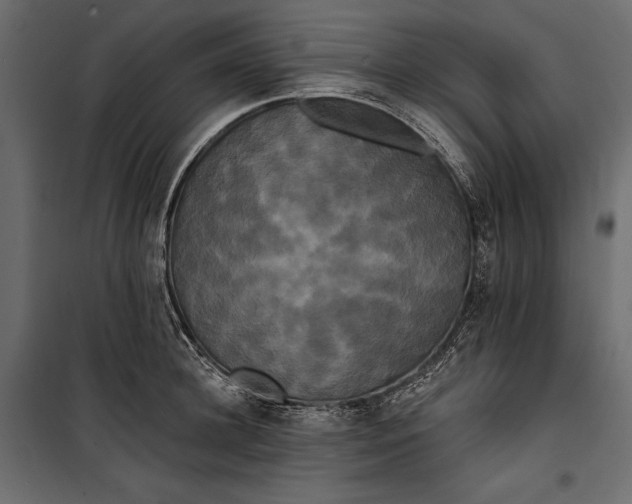 X0000100330948200806191104