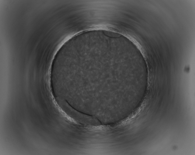 X0000100330949200806191104