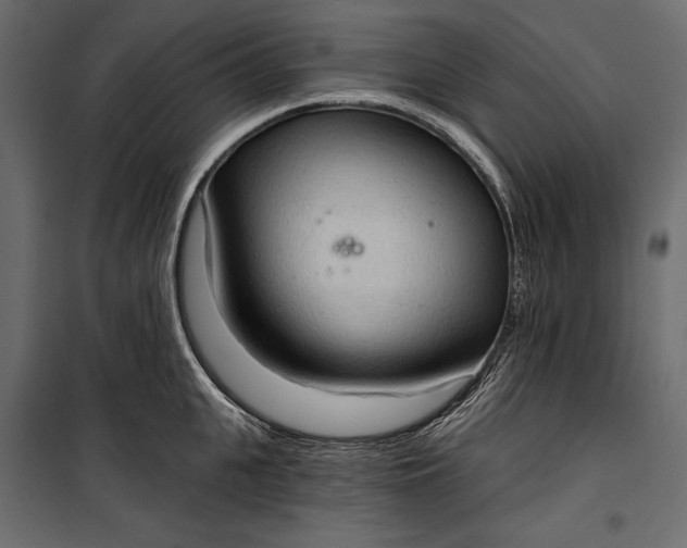 X0000100330951200806191104