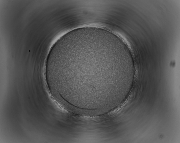 X0000100330952200806191104