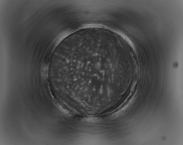 X0000100330953200806191104