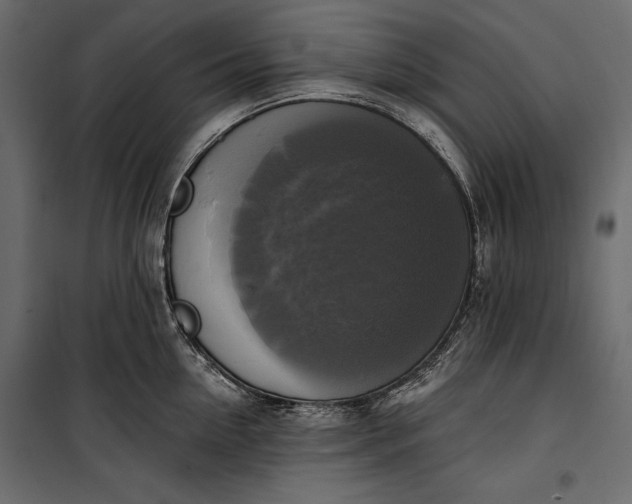 X0000100330954200806191104