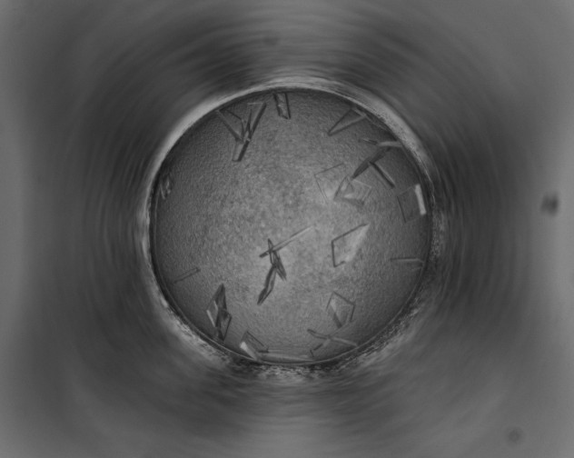 X0000100330955200806191104