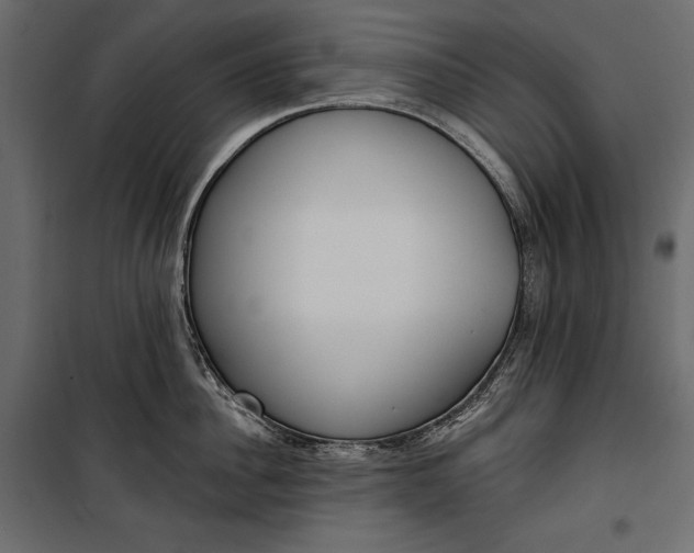 X0000100330956200806191105