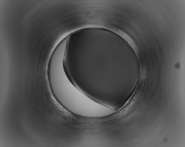 X0000100330958200806191105