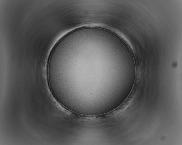 X0000100330959200806191105