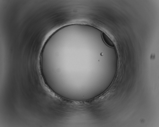 X0000100330960200806191105