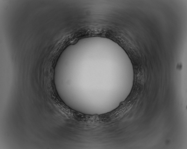 X0000100330961200806191104