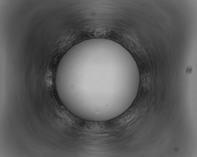 X0000100330962200806191104