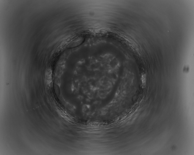 X0000100330963200806191104