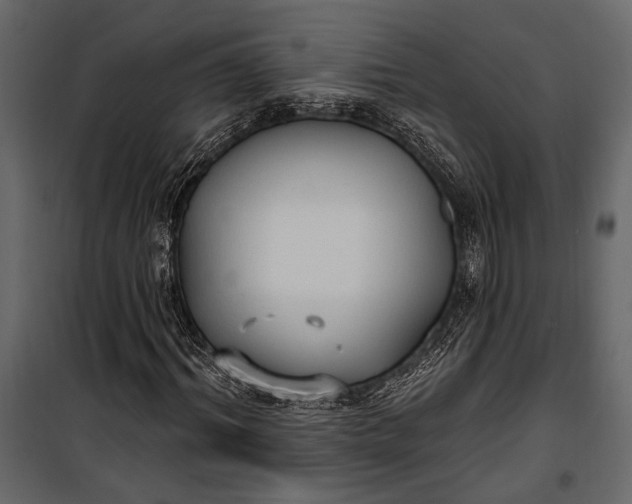 X0000100330964200806191104