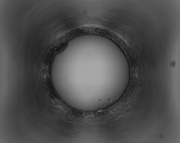 X0000100330965200806191104