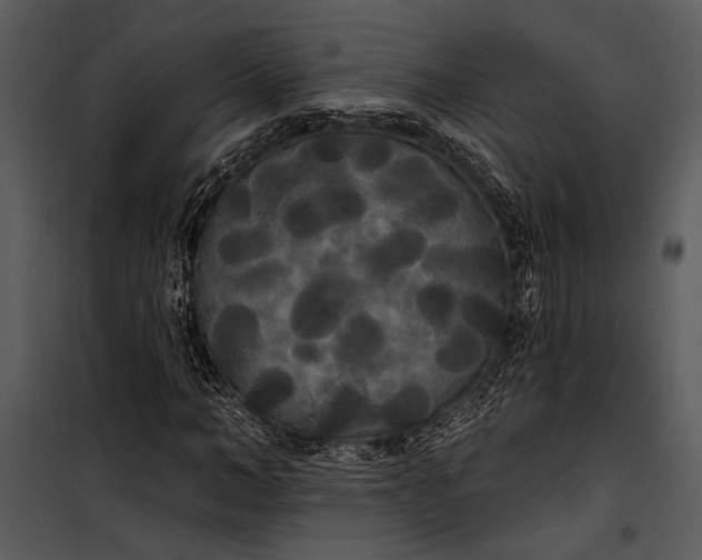 X0000100330966200806191104