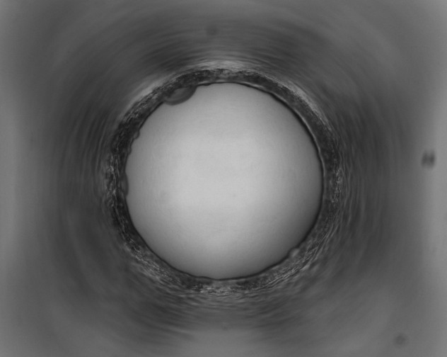 X0000100330967200806191104