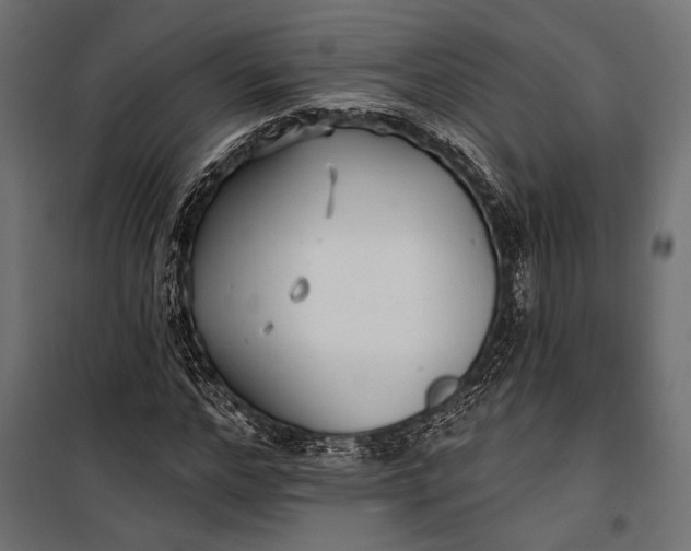 X0000100330968200806191104