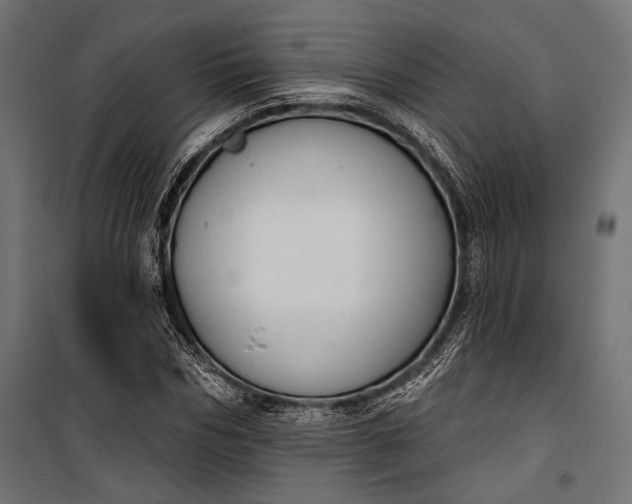 X0000100330970200806191104