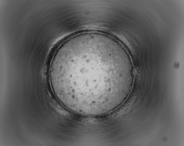 X0000100330971200806191104