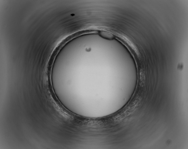 X0000100330972200806191104