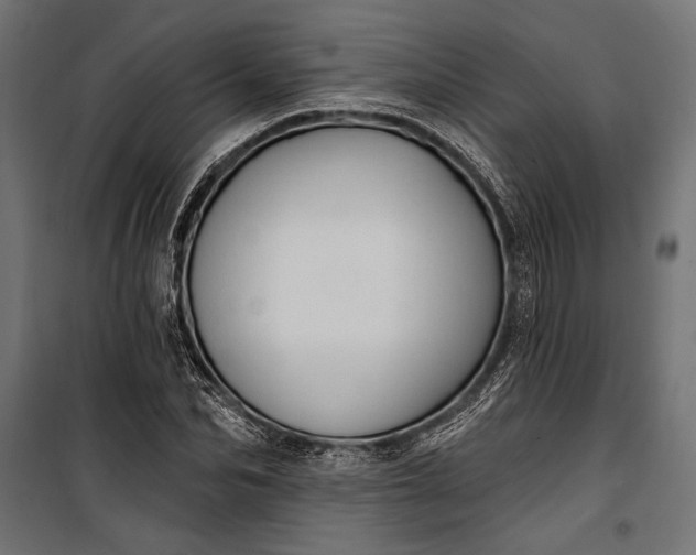 X0000100330974200806191104