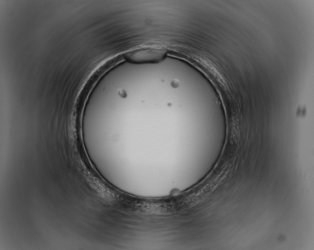 X0000100330976200806191104