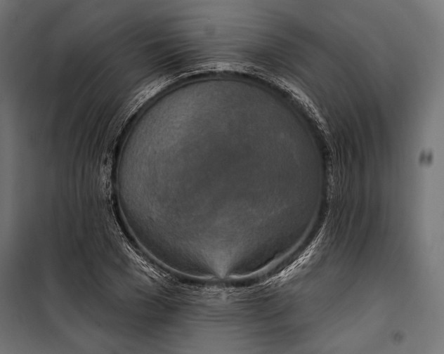 X0000100330977200806191104