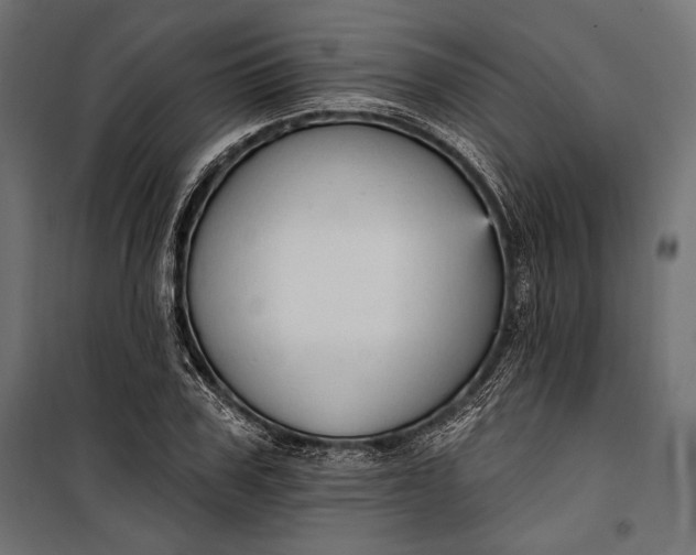 X0000100330979200806191104