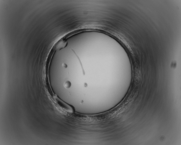 X0000100330980200806191104