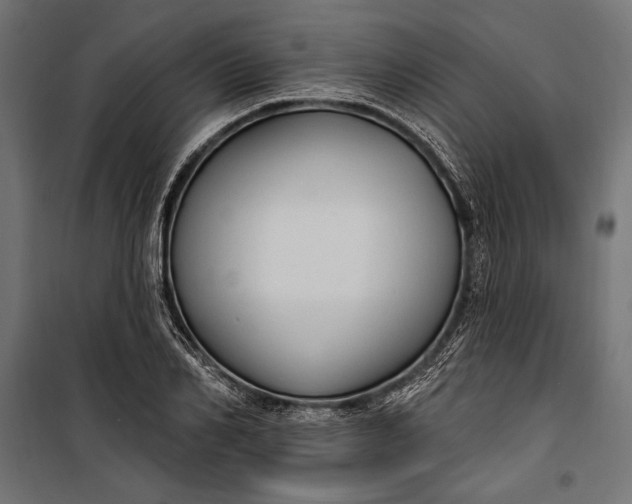 X0000100330982200806191104