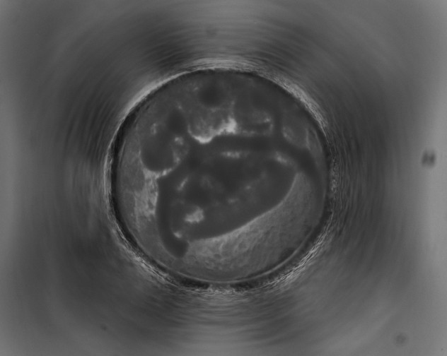 X0000100330983200806191104