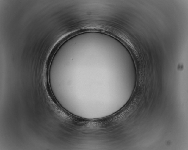 X0000100330984200806191104