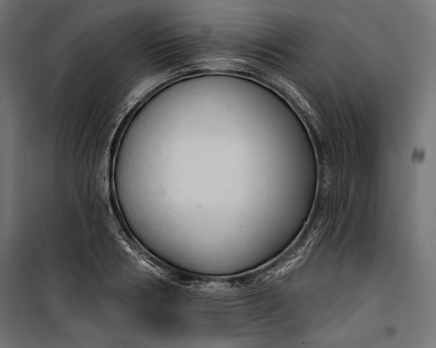 X0000100330986200806191104