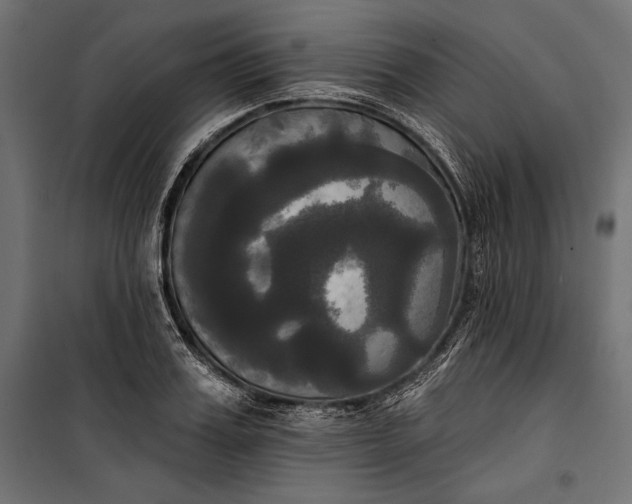 X0000100330987200806191104