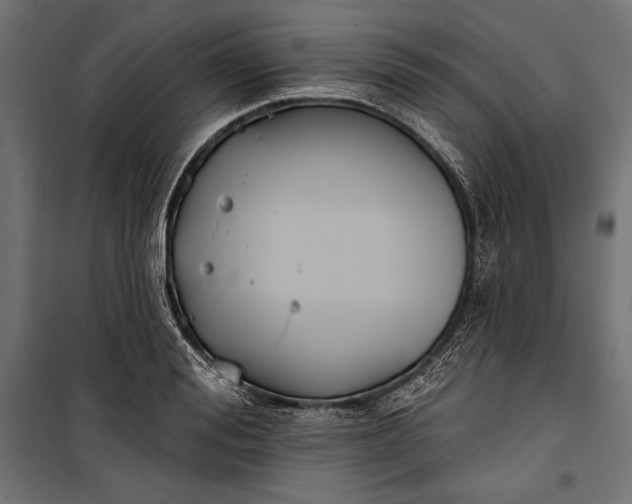 X0000100330988200806191104