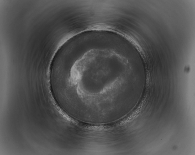 X0000100330990200806191103