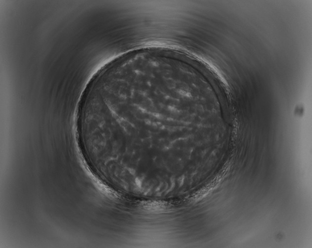 X0000100330991200806191103