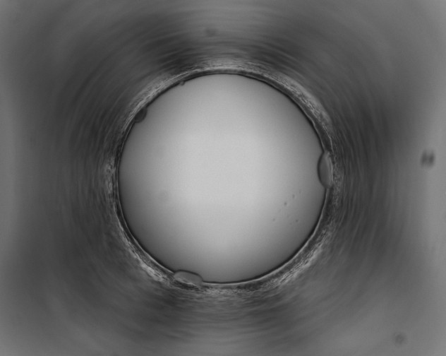 X0000100330993200806191103