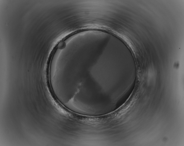 X0000100330995200806191103