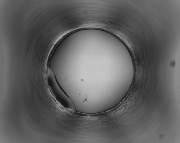 X0000100330996200806191103