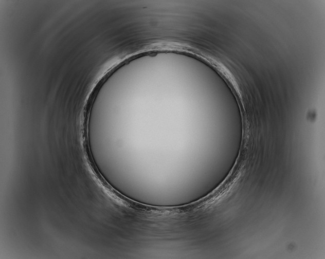 X0000100330997200806191103