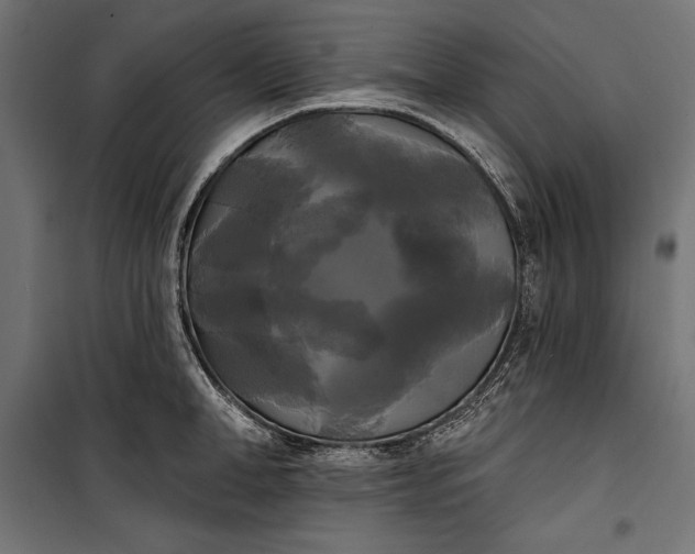 X0000100330998200806191103