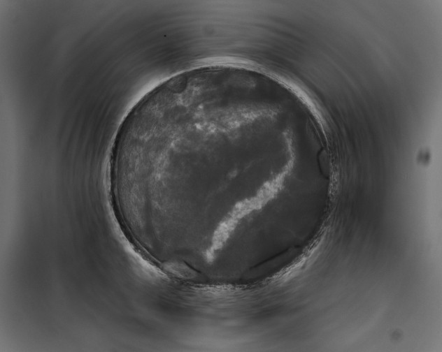 X0000100330999200806191103