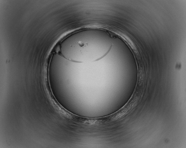 X0000100331000200806191103