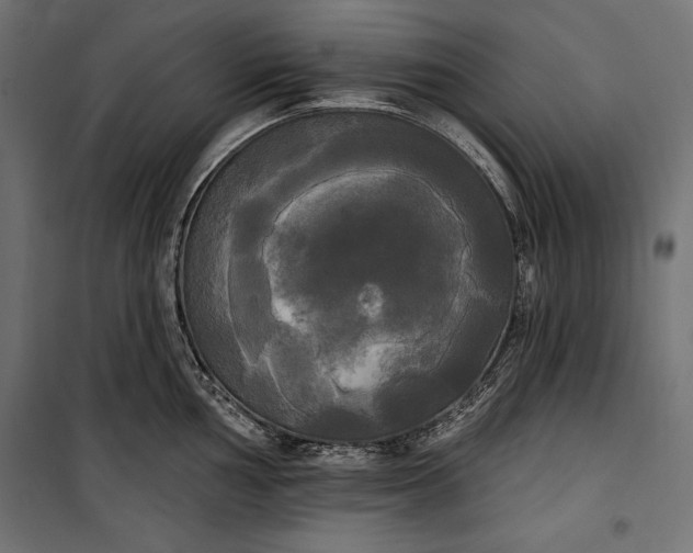 X0000100331002200806191103