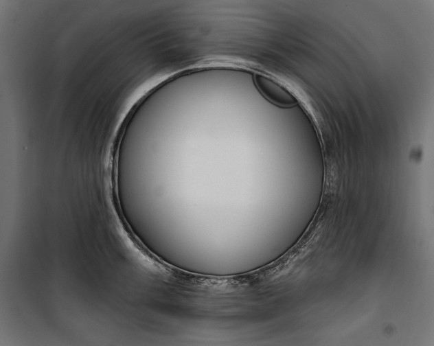 X0000100331003200806191103