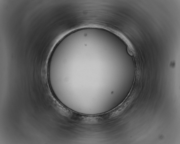 X0000100331004200806191103