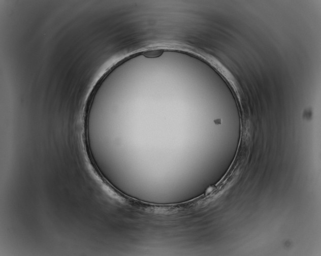 X0000100331005200806191103