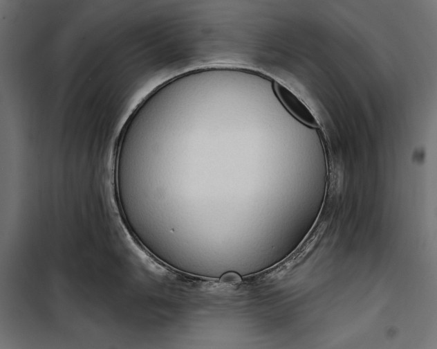 X0000100331006200806191103