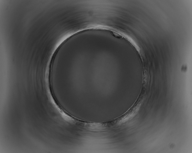 X0000100331007200806191103