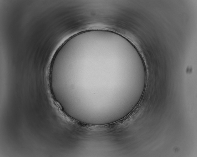 X0000100331008200806191103